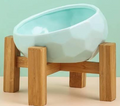 Mint | Orthopedic Ceramic Slow Feeder Bowl